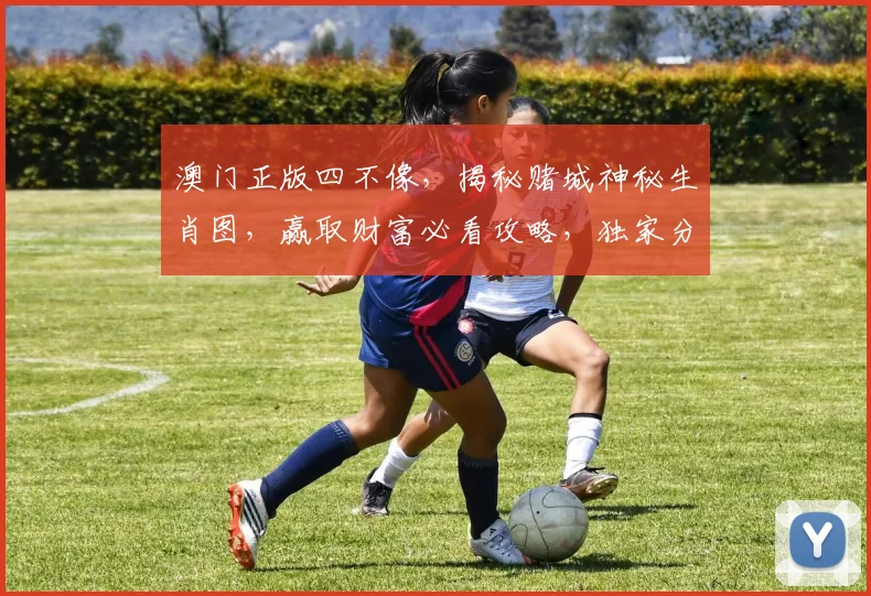 澳门正版四不像，揭秘赌城神秘生肖图，赢取财富必看攻略，独家分享